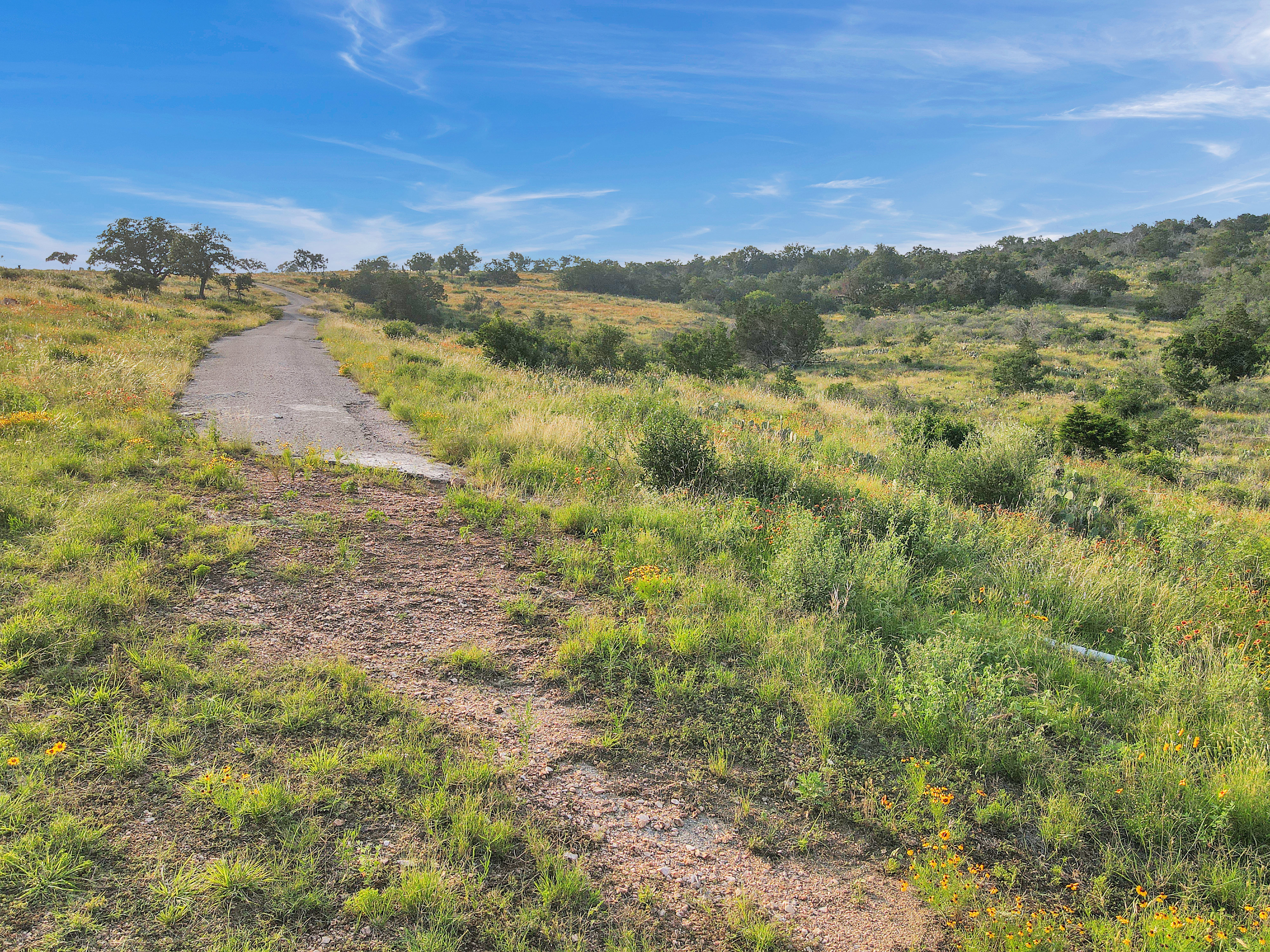 Cedar Ridge Trail