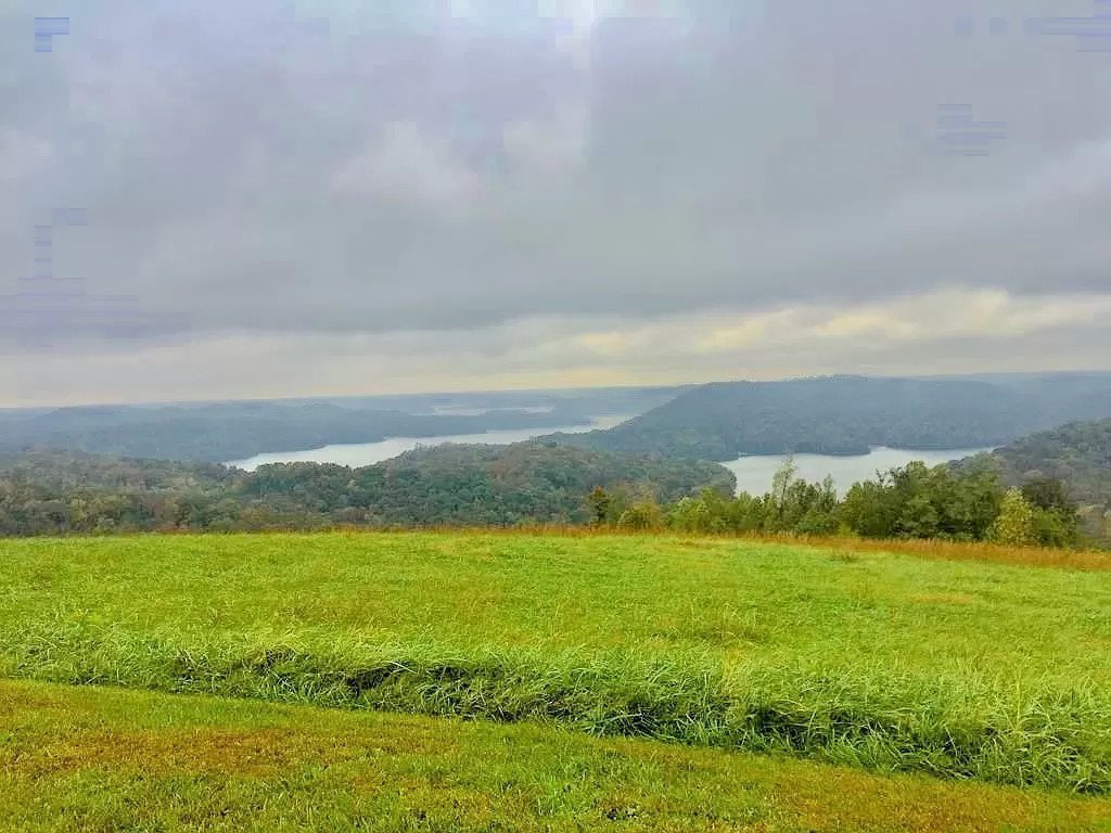 The View